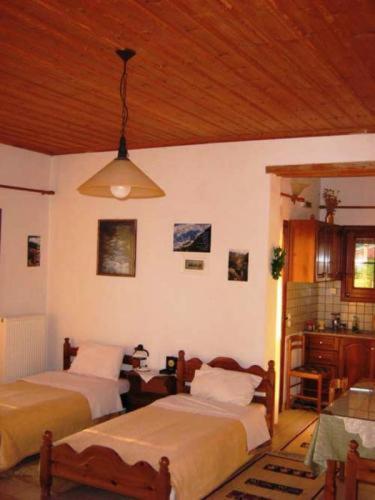 Gerakofolia Rooms To Let Konitsa Bagian luar foto