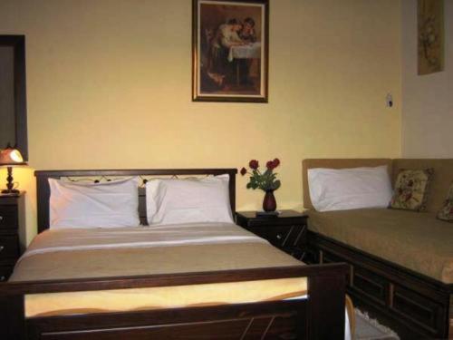 Gerakofolia Rooms To Let Konitsa Bagian luar foto